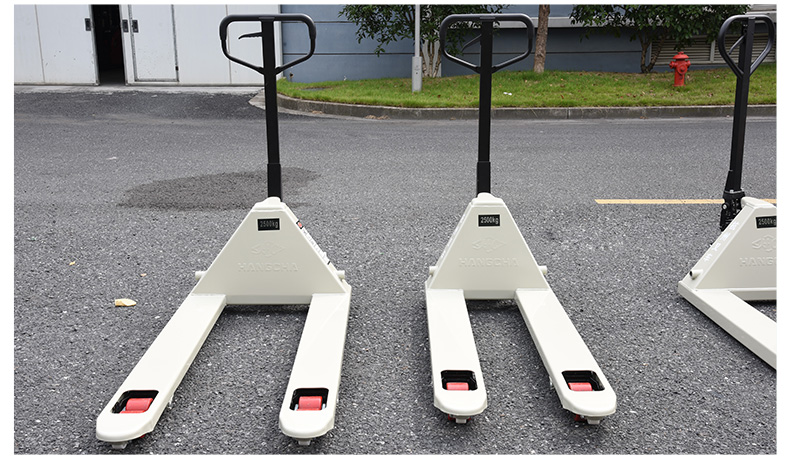 飞龙电子捕鱼名称