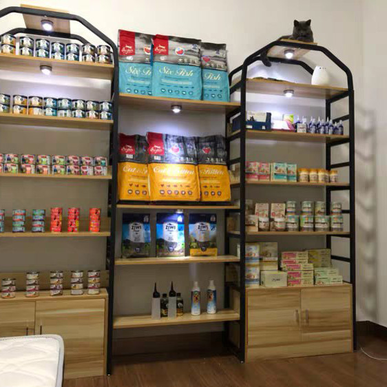 飞龙电子捕鱼名称