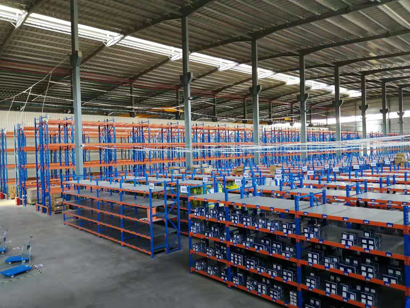 飞龙电子捕鱼名称