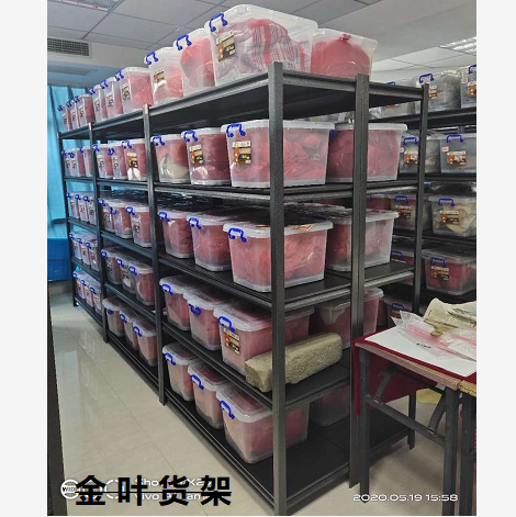 飞龙电子捕鱼名称